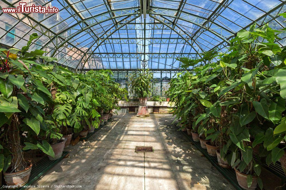 Immagine Una delle serre vetrate dell'Orto Botanico di Palermo, Sicilia. E' considerato uno dei più antichi centri di studi botanici dell'area Mediterranea - © Francesca Sciarra / Shutterstock.com