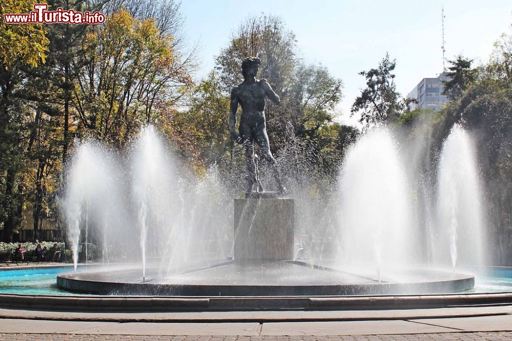 Immagine La fontana con la replica del David di Donatello nella Plaza Rio de Janeiro, una delle piazze più importanti della Colonia Roma a Città del Messico - © Jake Galán, CC BY-SA 3.0, Wikipedia