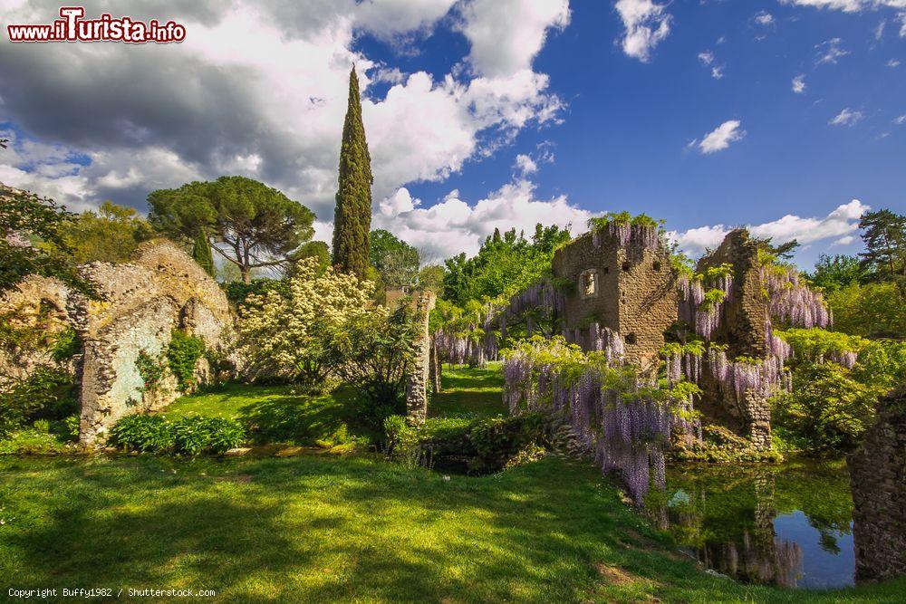 Immagine Glicine in fiore al Giardino di Ninfa, Cisterna di Latina, Lazio - © Buffy1982 / Shutterstock.com