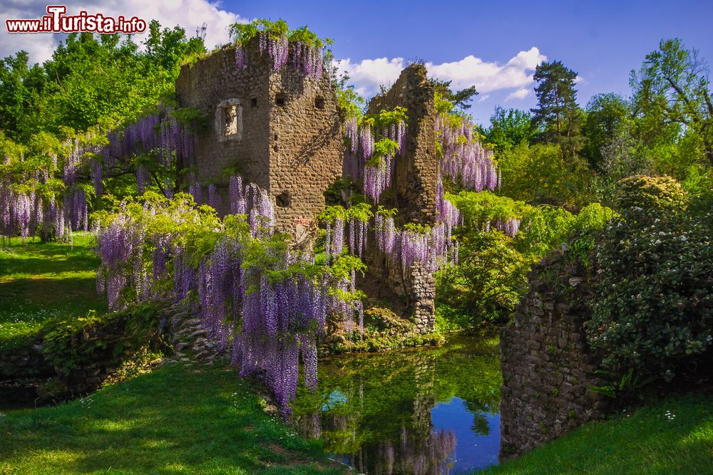 Immagine Il celebre Giardino di Ninfa a Cisterna di Latina, Lazio: passeggiando per il parco si possono ammirare centinaia e centinaia di varietà di piante.