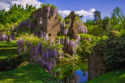 Il celebre Giardino di Ninfa a Cisterna di Latina, Lazio: passeggiando per il parco si possono ammirare centinaia e centinaia di varietà di piante. 



