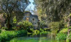 Paesaggio naturale al Giardino di Ninfa, Cisterna di Latina, con i ruderi sullo sfondo (Lazio).

