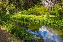 Un ruscello con fiori primaverili nel Giardino di Ninfa, Cisterna di Latina (Lazio).



