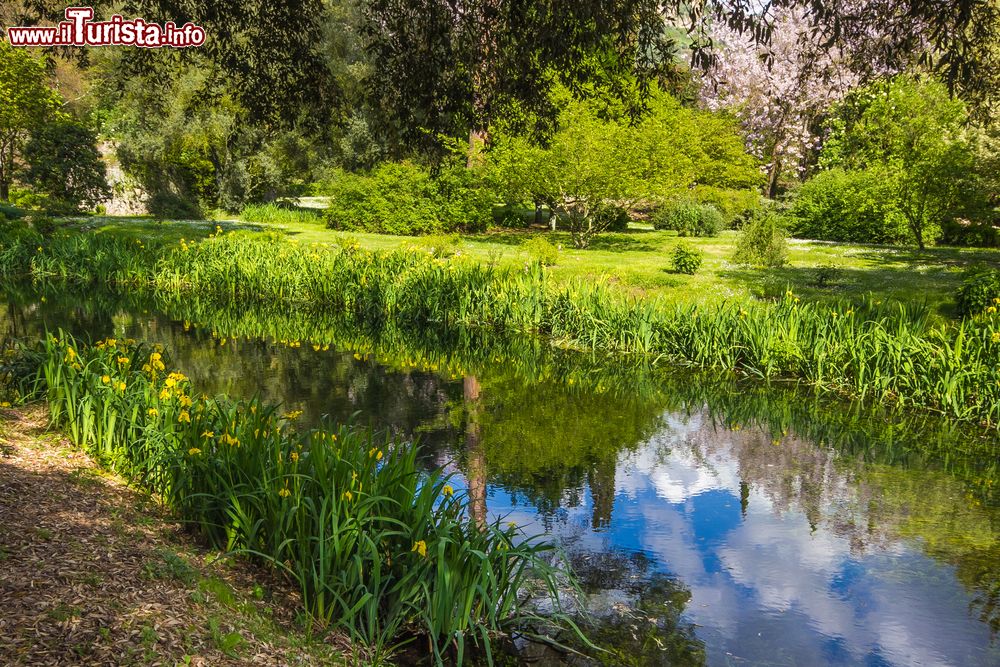 Immagine Un ruscello con fiori primaverili nel Giardino di Ninfa, Cisterna di Latina (Lazio).