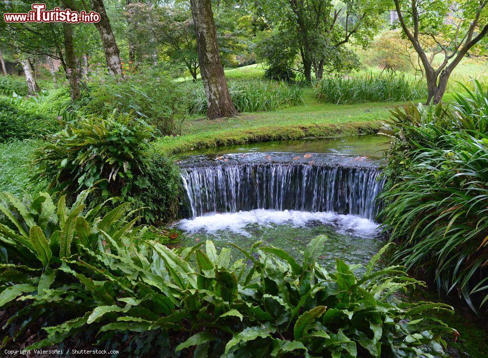 Immagine Una piccola cascata al Giardino di Ninfa a Cisterna di Latina, Lazio. Nel 2000 la Regione Lazio ha dichiarato questo giardino monumento naturale per tutelare l'habitat cosstituito dal fiume Ninfa - © ValerioMei / Shutterstock.com
