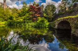 Un pittoresco angolo del Giardino di Ninfa, Cisterna di Latina (Lazio). Un ruscello, un antico ponte in pietra e alberi: ecco gli elementi di questo suggestivo parco diventato monumento nazionale ...