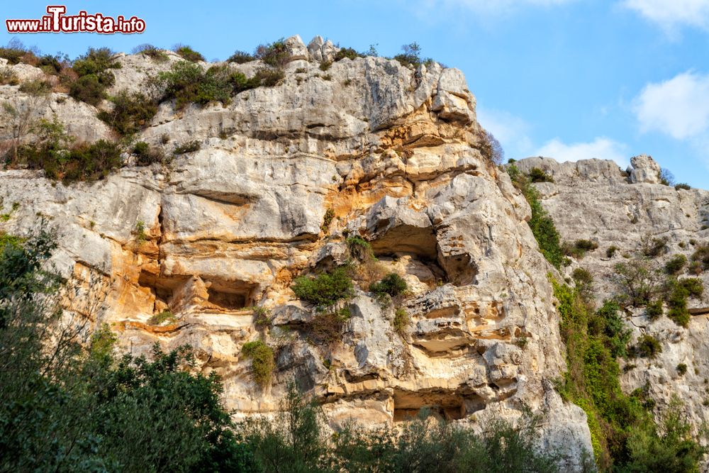 Immagine Visita alla gravina di Cava d'Ispica parco naturale ed archeologico della Sicilia