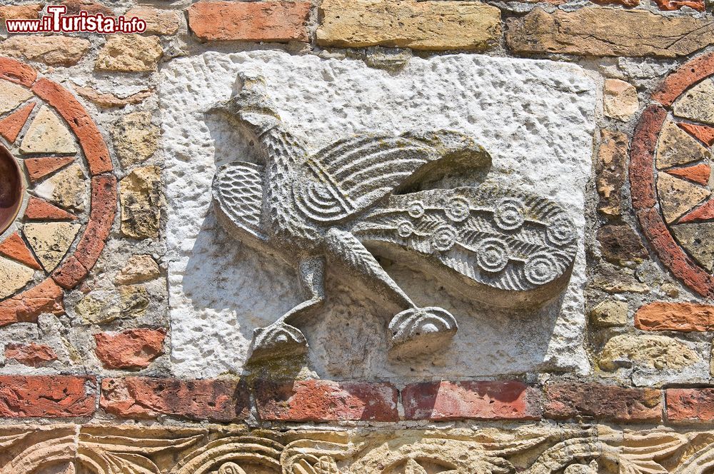 Immagine Scorcio del muro esterno dell'Abbazia di pomposa: un pavone scolpito su arenaria