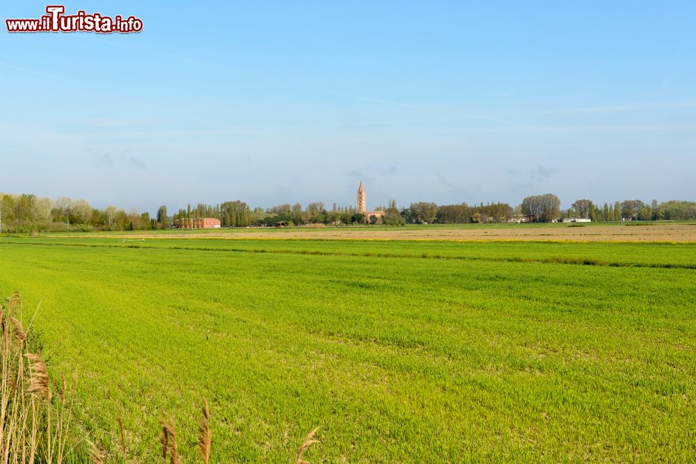 Immagine Panorama delle campagne di Codigoro, sullo sfondo il campanile della Abbazia di Pomposa, provincia di ferrara