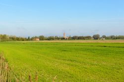 Panorama delle campagne di Codigoro, sullo sfondo il campanile della Abbazia di Pomposa, provincia di ferrara