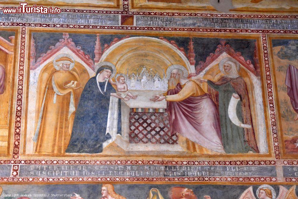 Immagine Un affresco all'interno della cattedrale romanica di Pomposa, provincia di Ferrara - © Andrea Izzotti / Shutterstock.com