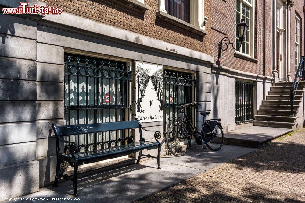 Immagine Il Katten Kabinet è un museo d'arte a tema gatti e si trova nel centro di Amsterdam. - © Lena Maximova / Shutterstock.com