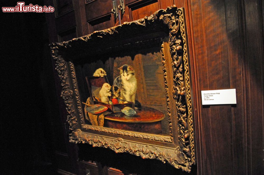 Immagine Un particolare della collezione di dipinti al Museo dei Gatti di Amsterdam, in Olanda © Andrea Mazza