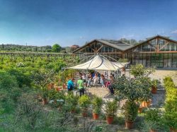 Serre e vivaio al Centro Botanico Moutan a Vitorchiano in provincia di Viterbo, Lazio