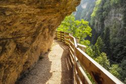 Il sentiero a picco sul canyon che accompagna al santuario di San Romedio, Predaia, Trentino Alto Adige.
