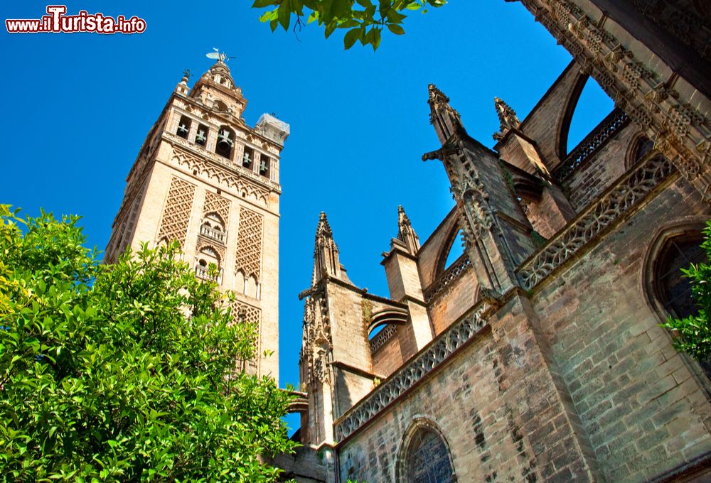 Cosa vedere e cosa visitare Giralda