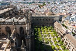 Il panorama di Siviglia e il giardino della Cattedrale fotografato dalla cima della Giralda