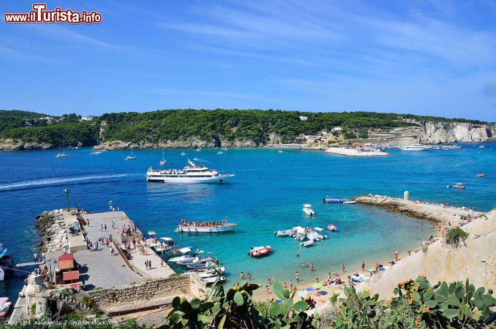 Immagine Turisti su una spiaggia dell'Isola di San Nicola, arcipelago delle Tremiti in Puglia - © maudanros / Shutterstock.com