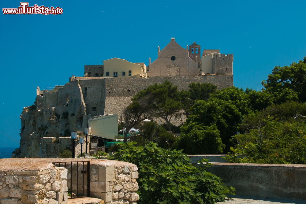 Immagine Uno scorcio di San Nicola, l'isola centrale delle Tremiti in Puglia