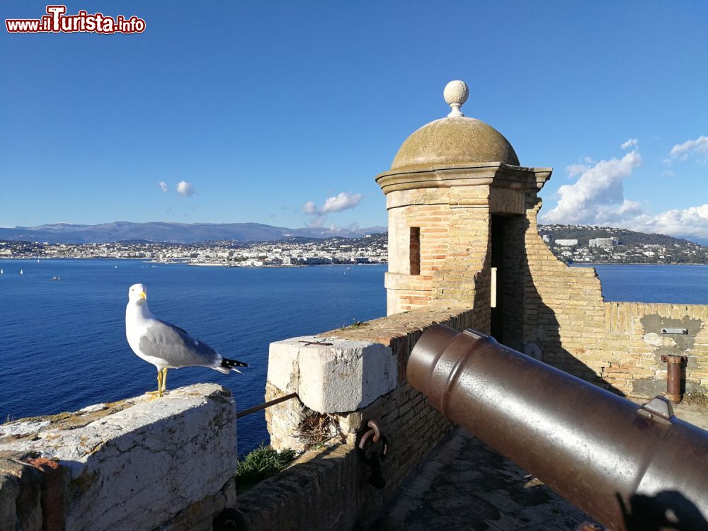 Cosa vedere e cosa visitare Isola di Santa Margherita