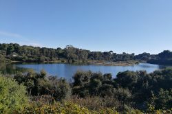 Lo stagno di Bateguier da parte degli ambienti naturali dell'Isola Santa Margherita in Costa Azzurra