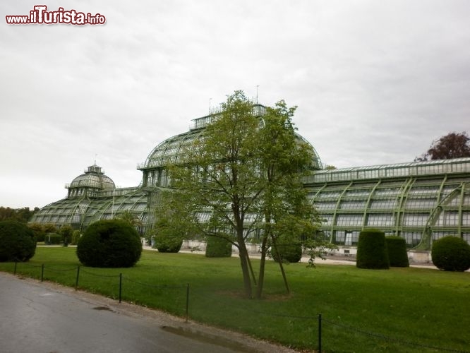 Palmenhaus