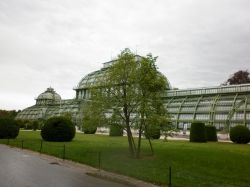 Palmenhaus