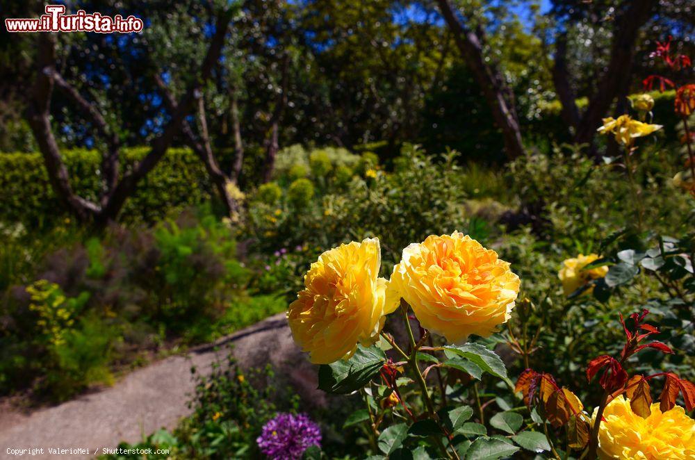 Immagine Passeggiata dentro ai Giardini della Landriana durante la fioritura primaverile. Siamo ad Ardea nel Lazio. - © ValerioMei / Shutterstock.com