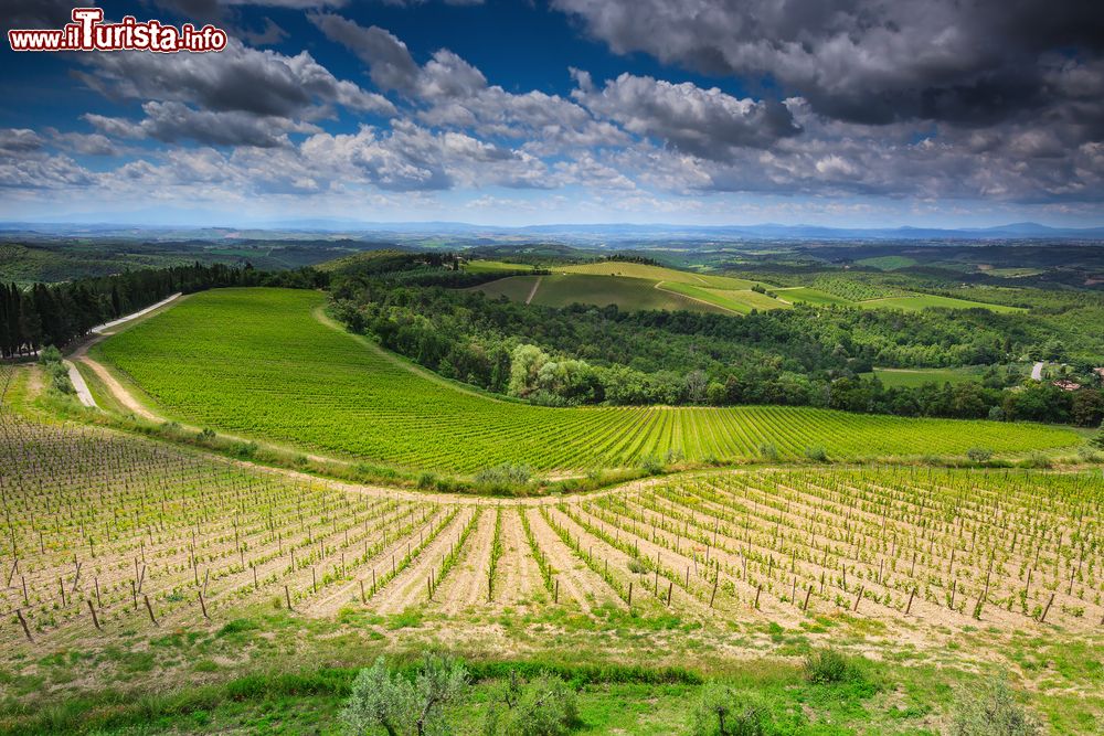 Immagine I vigneti nei pressi del castello di Brolio, Toscana, in una giornata nuvolosa.