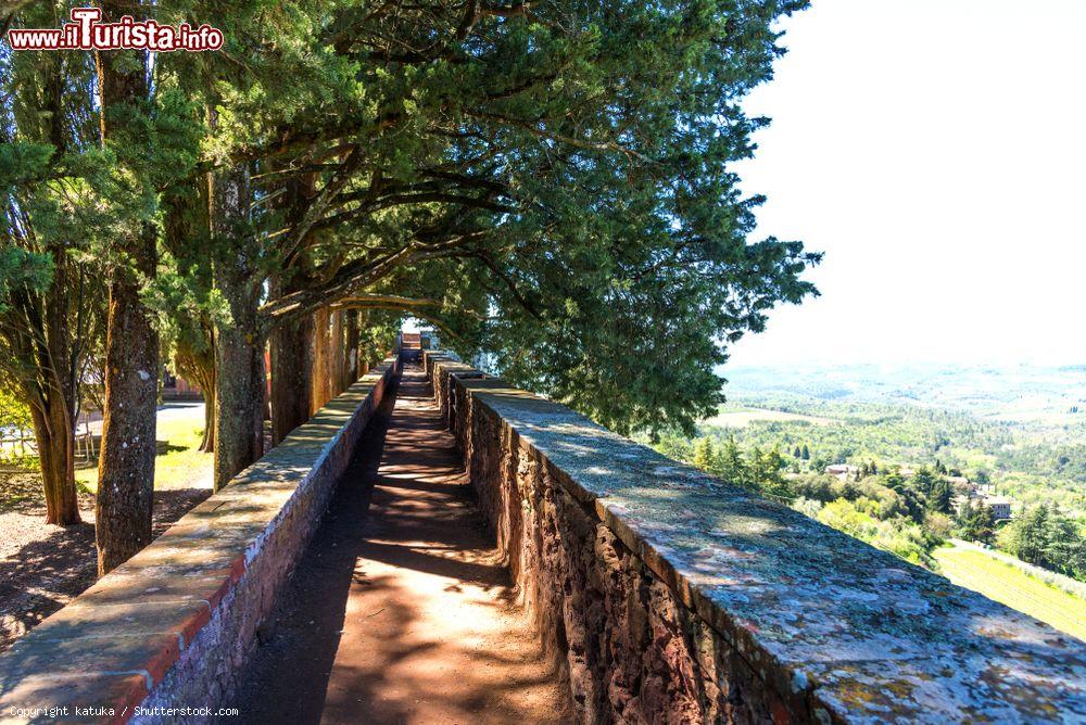 Immagine Un camminamento del castello rurale di Brolio, Gaiole in Chianti (Toscana) - © katuka / Shutterstock.com