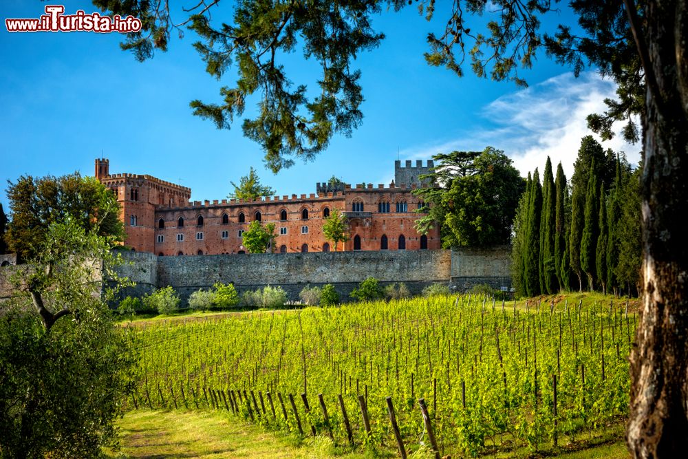 Immagine Una pittoresca veduta del castello di Brolio fra i vigneti del Chianti, Toscana. Dall'uva qui prodotta si ottiene un vino dal colore rosso rubino vivace con un sapore che diventa morbido e vellutato con il passare del tmepo.