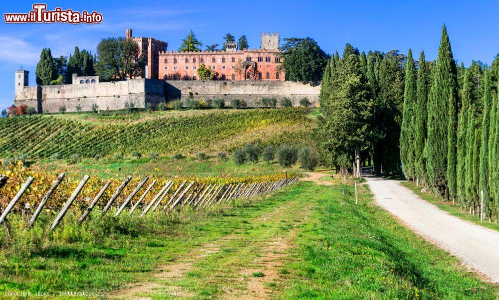 Immagine Vigneti nella regione toscana del Chianti, provincia di Siena: sullo sfondo, il castello di Brolio - © leoks / Shutterstock.com