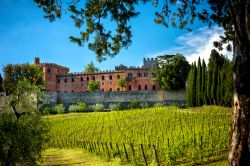 Una pittoresca veduta del castello di Brolio fra i vigneti del Chianti, Toscana. Dall'uva qui prodotta si ottiene un vino dal colore rosso rubino vivace con un sapore che diventa morbido ...