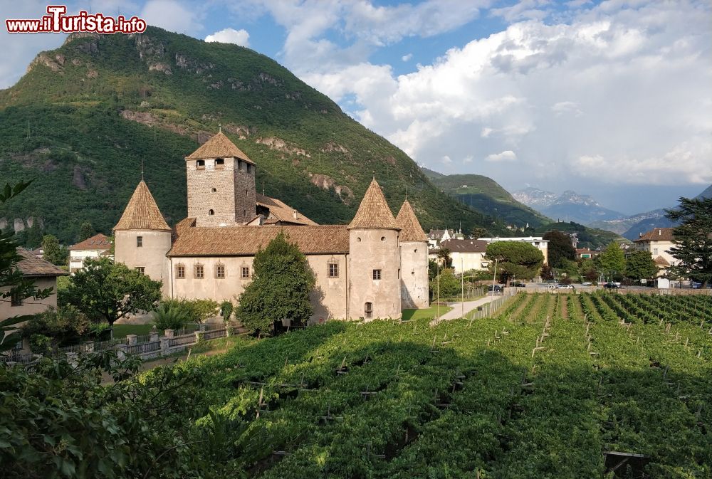 Immagine I vigneti circondano il complesso di Castel Mareccio a Bolzano, capoluogo dell'Alto Adige