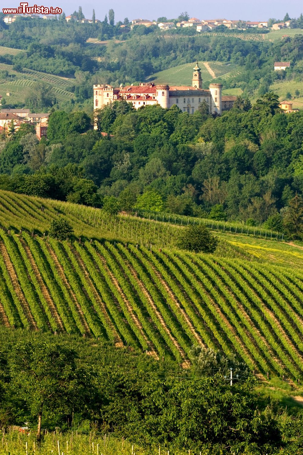 Immagine I vigneti che circondano il Castello di Costigliole d'Asti in Piemonte - © Daniela Pelazza, CC BY-SA 3.0, Wikipedia