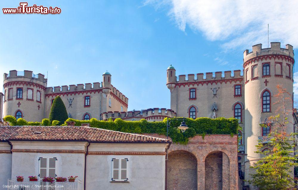 Immagine Il Castello di Costigliole d'Asti in piemonte, oggi ospita una famosa scuola di cucina - © Gimas / Shutterstock.com