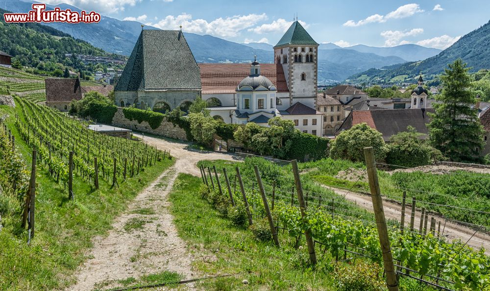 Immagine I vigneti circondano l'Abbazia di Novacella, qui si producono ottimi vini dell'Alto Adige