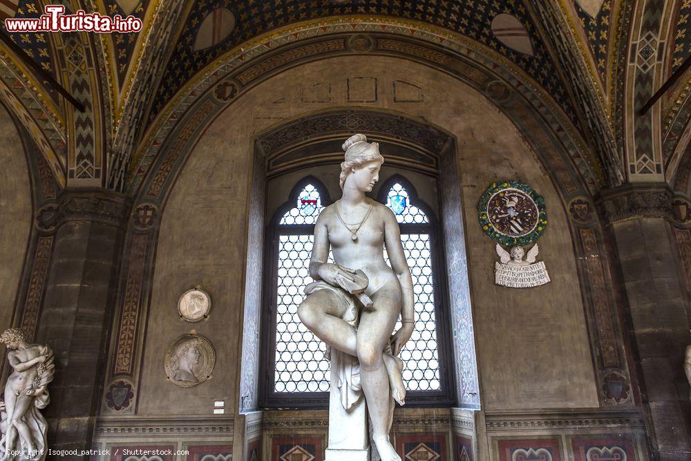 Immagine Statue antiche in una sala del Bargello, l'edificio di Firenze che ospita il Museo Nazionale d'Arte - © Isogood_patrick / Shutterstock.com