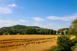 Le campagne e la natura incontamintata che circonda la Fondazione Beyeler a Basilea, Svizzera