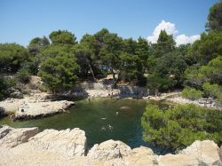 Probabilmente si tratta di una grotta marina, si cui ne è crollata la vollta: siamo nen Mar Morto di Lokrum - © Giuseppe Piazzese / Shutterstock.com