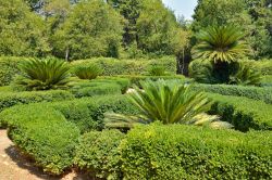 Il giardino botanico di Lokrum a Dubrovnik, Croazia