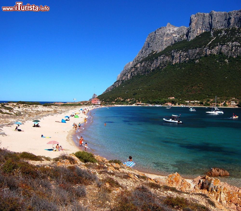 Immagine Il lido di Tavolara sul capo capo Spalmatore di Terra in Sardegna