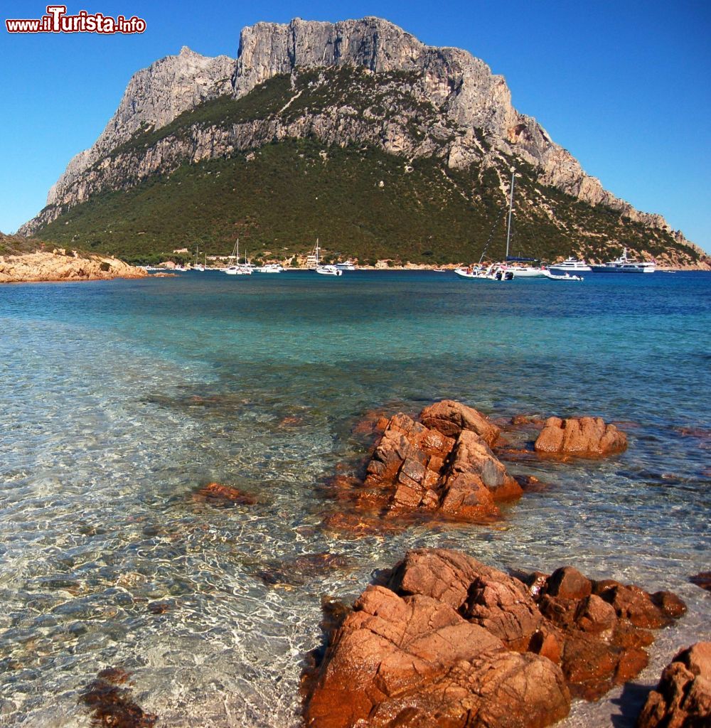 Immagine Il mare turchese e limpido della Tavolara in Sardegna