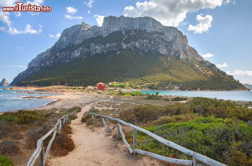 Immagine Passeggiata sulla costa ovest della Tavolarac in Sardegna