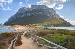 Passeggiata sulla costa ovest della Tavolarac in Sardegna