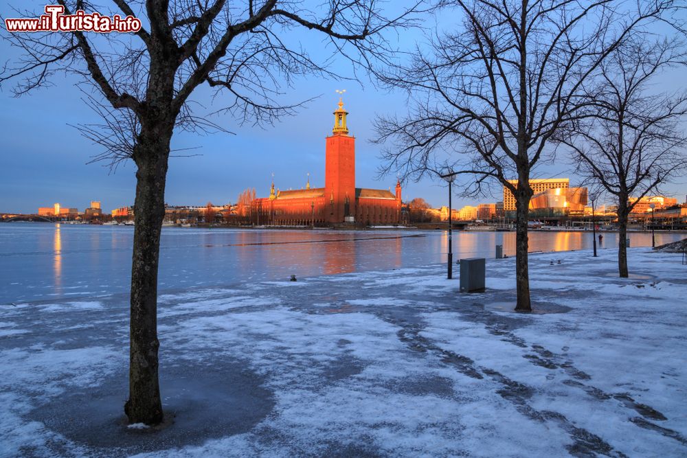 Immagine Una suggestiva veduta invernale dello Stockholms stadshus al tramonto (Svezia). Scattata dall'isola di Riddarholmen, questa bella immagine mostra l'acqua del lago ghiacciata e gli alberi spogli.