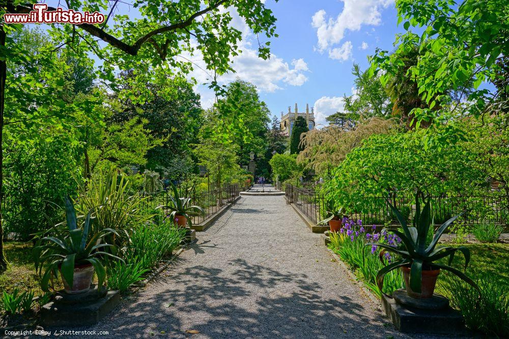 Immagine La ricca vegetazione dell'Orto Botanico di Padova, Veneto. Questo spazio verde è nato per la coltivazione delle piante medicinali: la sua creazione avvenne su richiesta di Francesco Bonafede per facilitare l'apprendimento e il riconoscimento delle piante - © EQRoy / Shutterstock.com