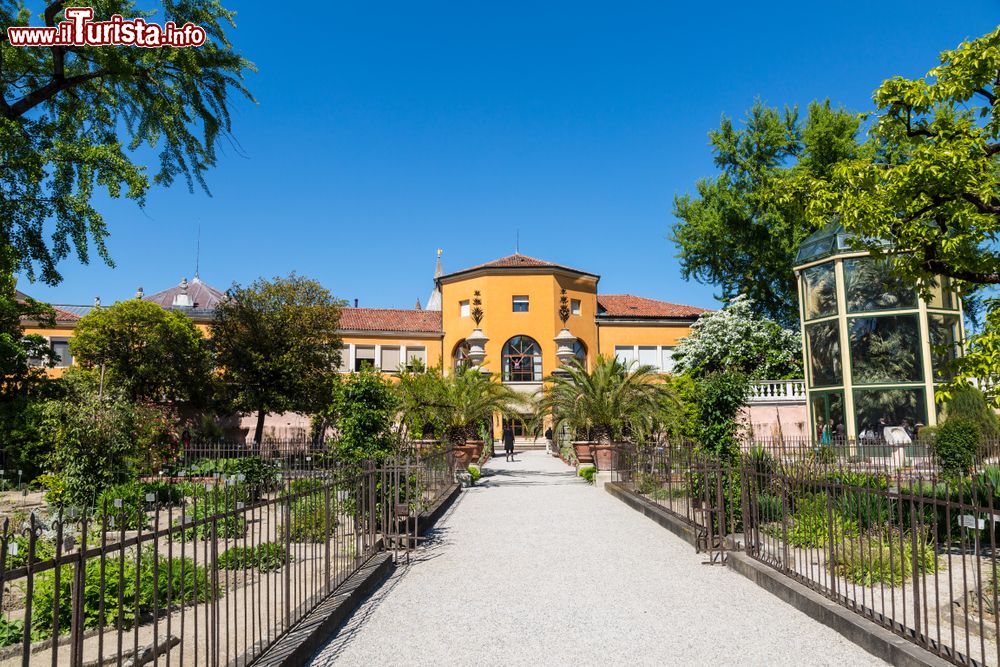 Immagine L'Orto Botanico di Padova, Veneto: fondato nel 1545, è il più antico del mondo ancora situato nella sua collocazione originaria.