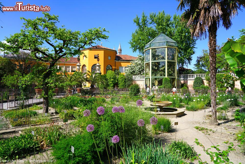 Immagine Padova, uno scorcio dell'Orto Botanico (Veneto). E' considerato l'orto da cui hanno avuto origine tutti i giardini botanici del mondo - © EQRoy / Shutterstock.com