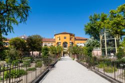 L'Orto Botanico di Padova, Veneto: fondato nel 1545, è il più antico del mondo ancora situato nella sua collocazione originaria.
